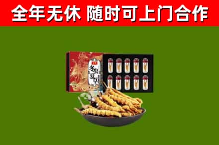 龙岩市回收冬虫夏草价格